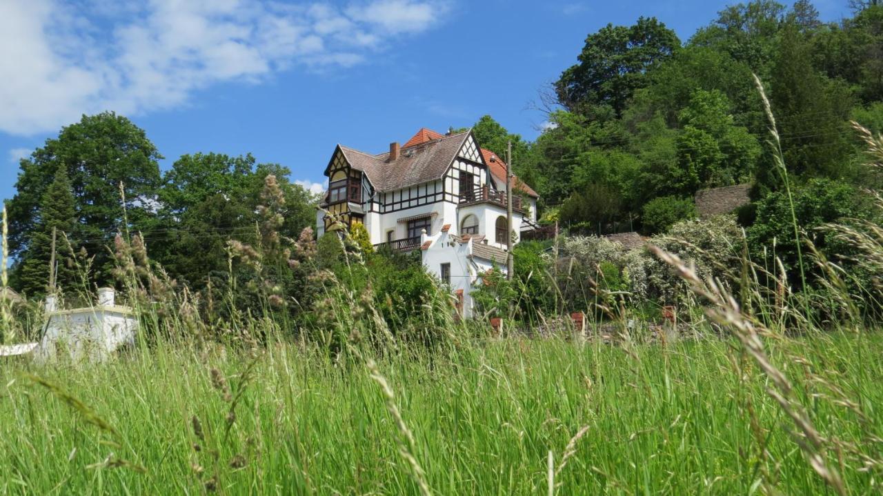 Elbsommer Am Weinberg Meissen